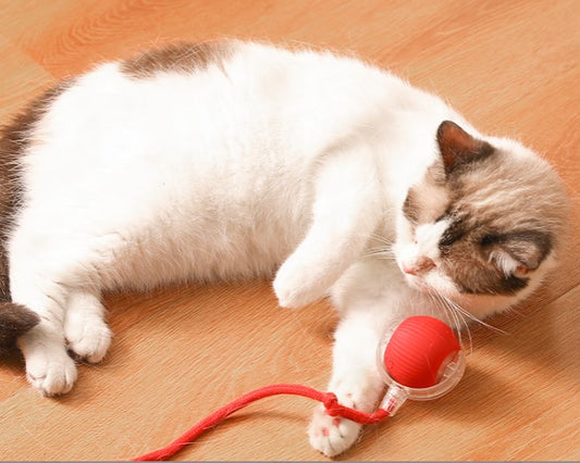 PELOTA INTERACTIVA PARA GATOS con Soga